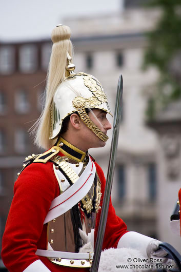 Horse guard parading outside London´s Buckingham Palace