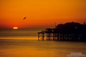 Travel photography:Sunset over Brighton Pier, United Kingdom