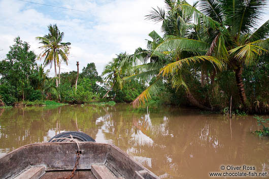 Exploring a Mekong tributary near Can Tho 