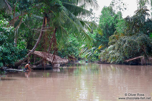 Huts along a Mekong tributary near Can Tho 