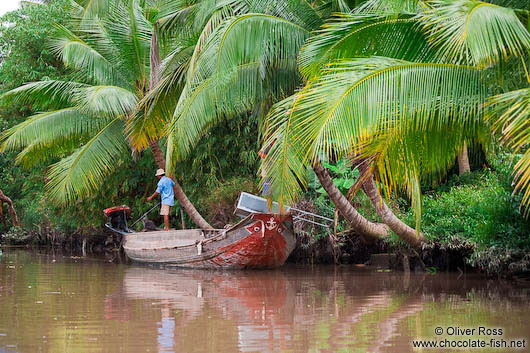 Boat on a Mekong tributary near Can Tho 