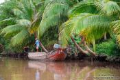 El Delta del Mekong