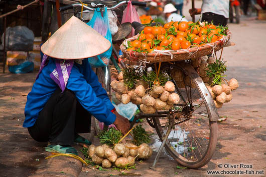 Hanoi fruit vendor 