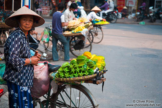 Hanoi fruit vendors