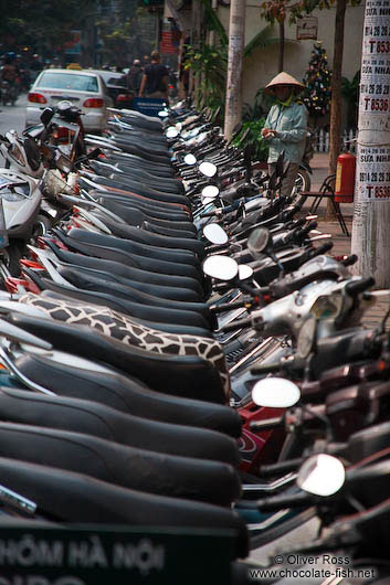 Parked motorbikes in Hanoi