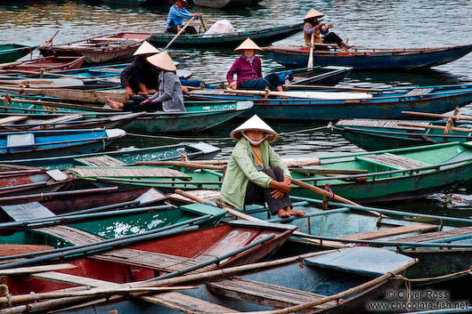 Tourist boats in Tam Coc