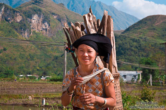 Hmong woman with fire wood near Sapa