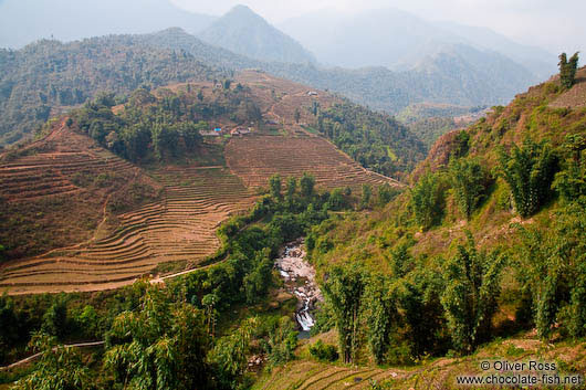 Rice terraces near Sapa´s Cat Cat village 