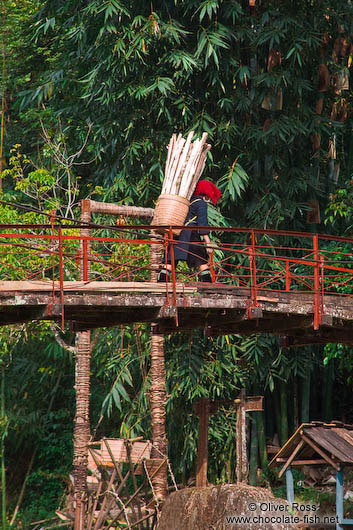 Bridge near Cat Cat village in Sapa