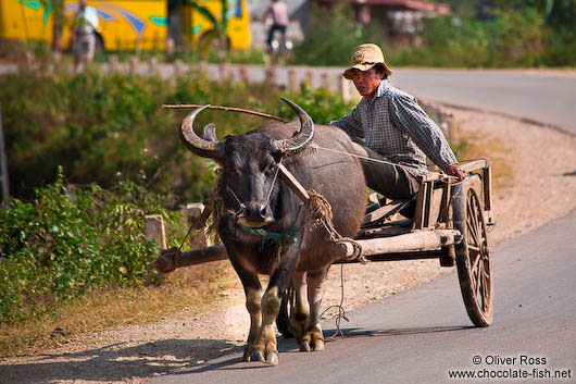 Sapa man on cart 