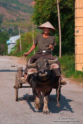 Sapa man on cart 