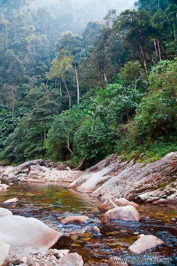 Mountain landscape near Sapa