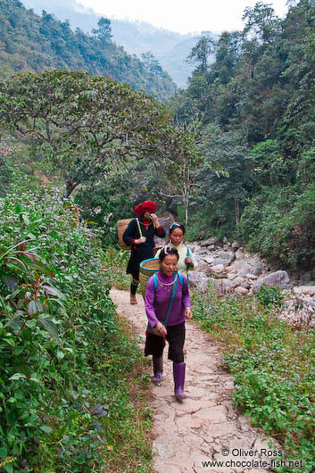 Hmong people in the mountains near Sapa