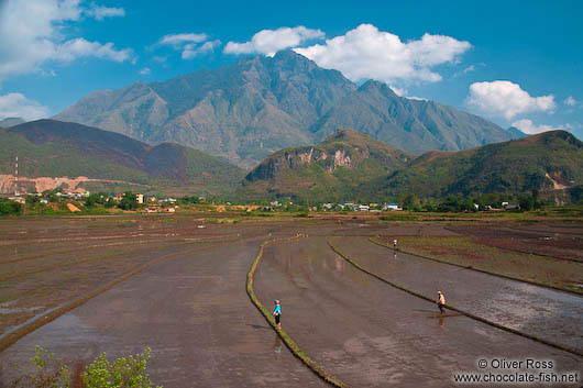 Rice fields near Sapa with Fansipan mountain in the background