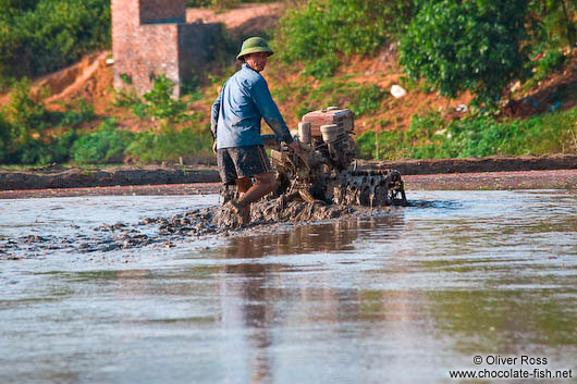 Working the rice fields near Sapa