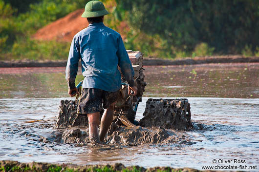 Working the rice fields near Sapa