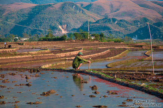 Sitting in the the rice fields near Sapa