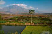 Travel photography:Rice fields near Sapa with Fansipan mountain in the background, Vietnam