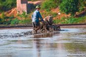 Travel photography:Working the rice fields near Sapa, Vietnam