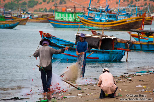 Fishermen at Mui Ne 