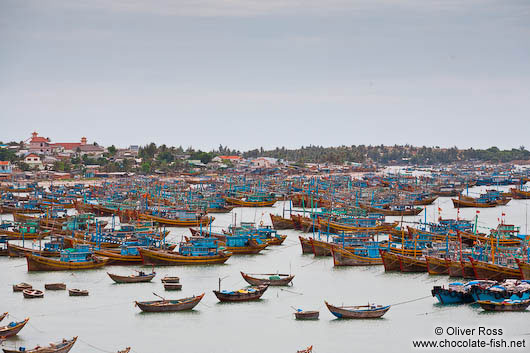 Fishing fleet at Mui Ne 