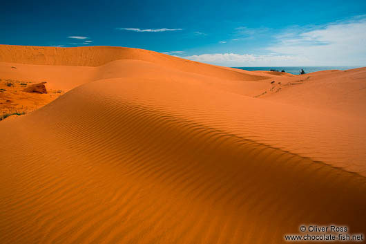 The giant red sand dunes near Mui Ne 