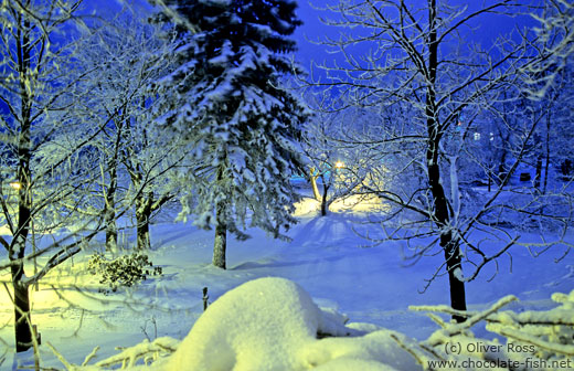 Landscape near Oberhof after dusk