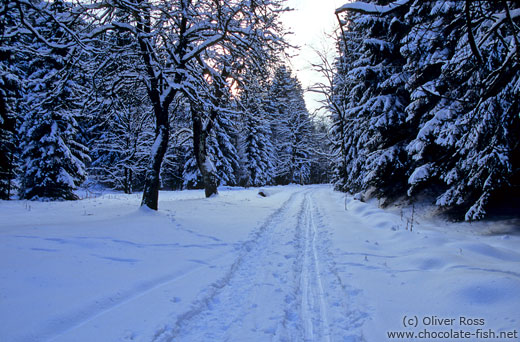 Wintery landscape after sunset