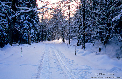 Wintery landscape after sunset