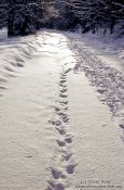 Travel photography:Tracks in the snow, Germany