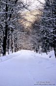 Travel photography:Path in wintery landscape, Germany