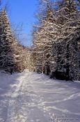 Travel photography:Path through wintery landscape, Germany