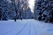 Travel photography:Wintery landscape after sunset, Germany