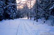 Travel photography:Wintery landscape after sunset, Germany