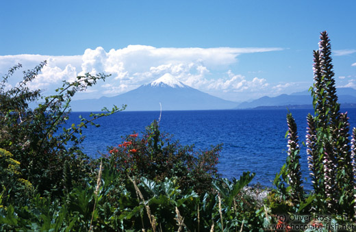 Volcan Osorno and Lago Todos los Santos